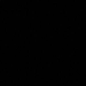 Meet your Posher, Jen